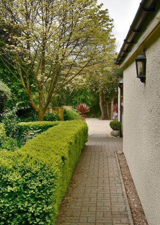 Tumbling Weir Hotel Ottery St Mary Esterno foto